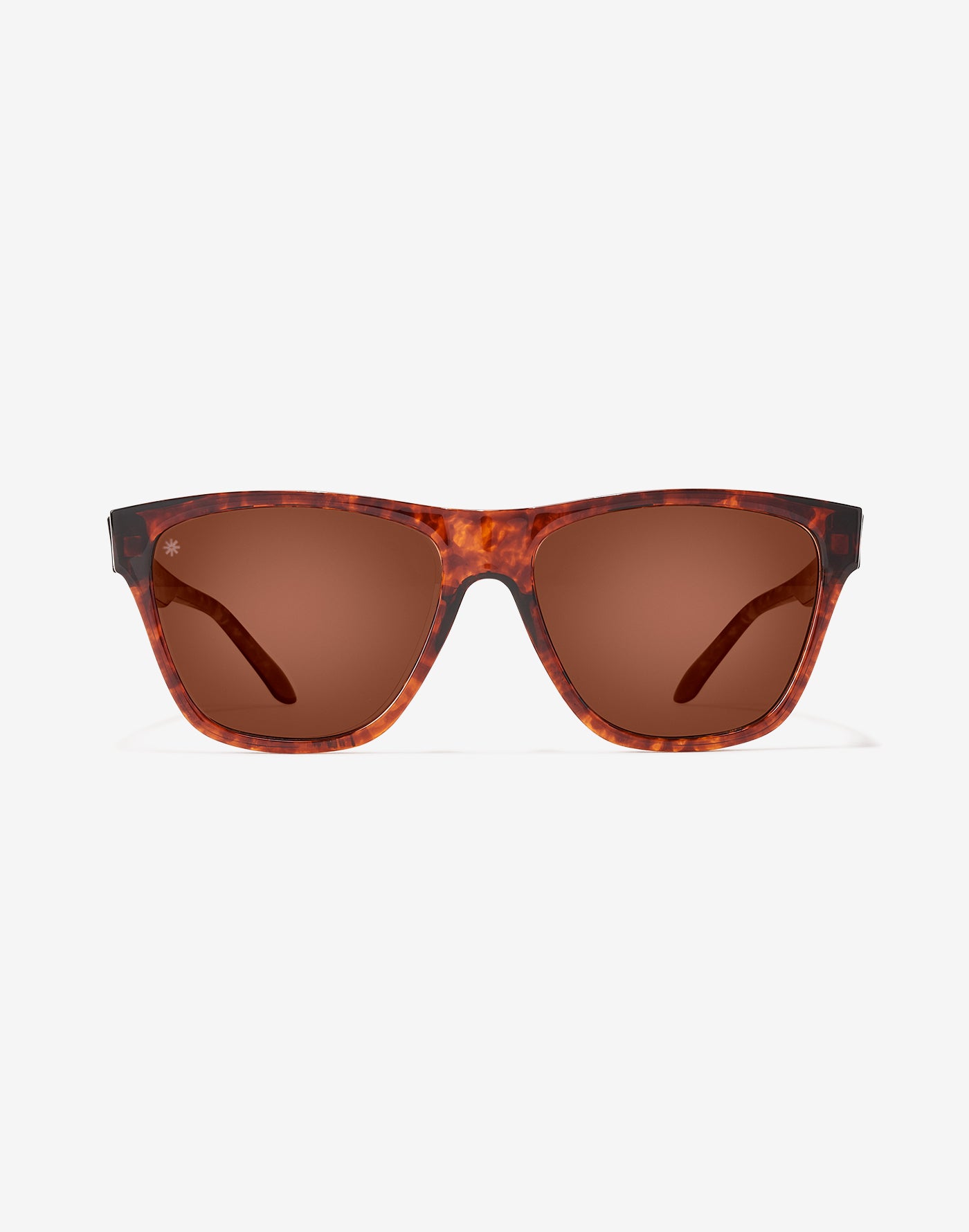 CALI SHINE TORTOISE POLARIZED